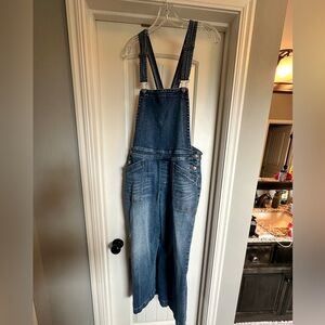 Evereve denim overalls